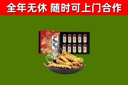 阿坝县回收冬虫夏草价格